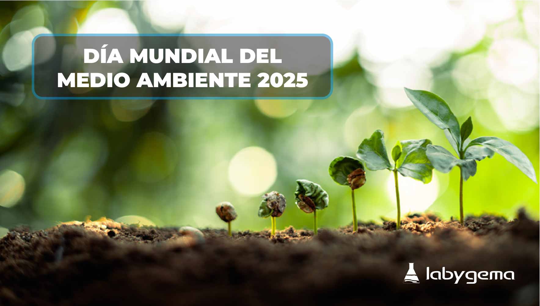 Brotes creciendo por Día Mundial del Medio Ambiente