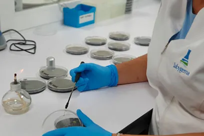 Técnico manipulando placas de Petri en laboratorio